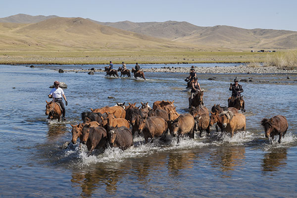 Voyage à cheval, randonnées à cheval avec Nomade Aventure