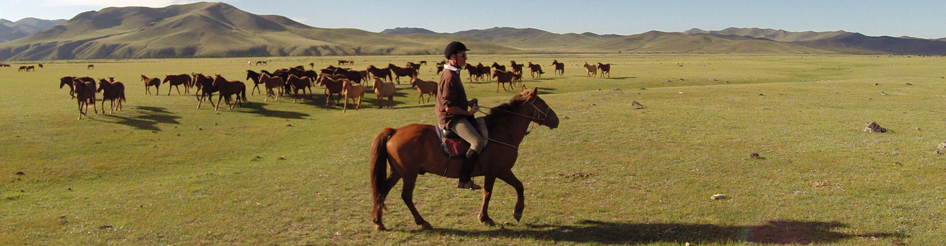 Rando Cheval Mongolie