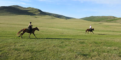 Rando Cheval Mongolie