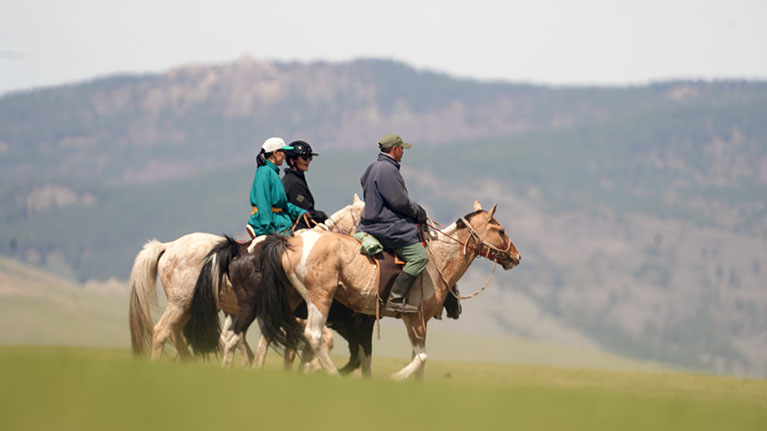Rando Cheval Mongolie