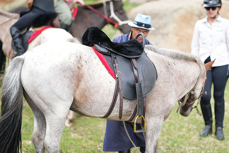 Selle tout confort avec amortisseur en peau de mouton - Randonnée à cheval de luxe premium en Mongolie